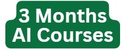 3 Months AI Courses
