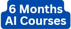 6 Months AI Courses