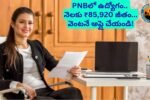 PNB LBOs 0411 - Telangana Exams PNB LBO Recruitment 2025